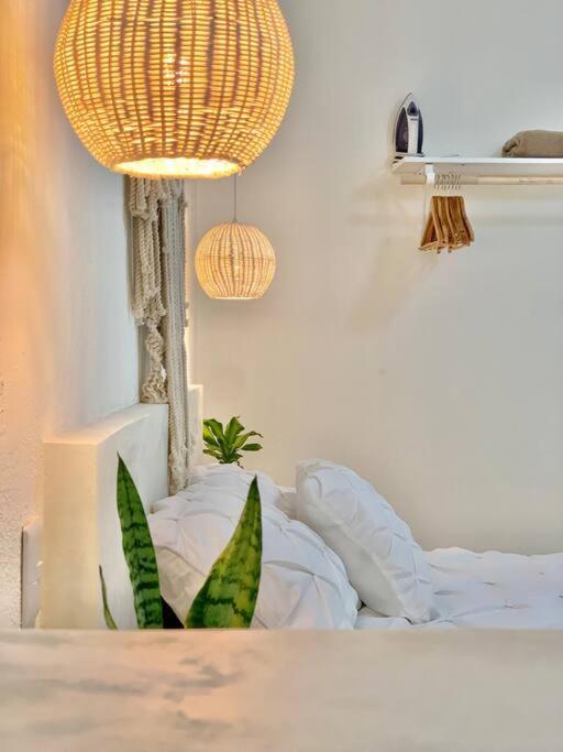 Appartamento Casa Anuiti Centrica Ubicacion. San José del Cabo Esterno foto