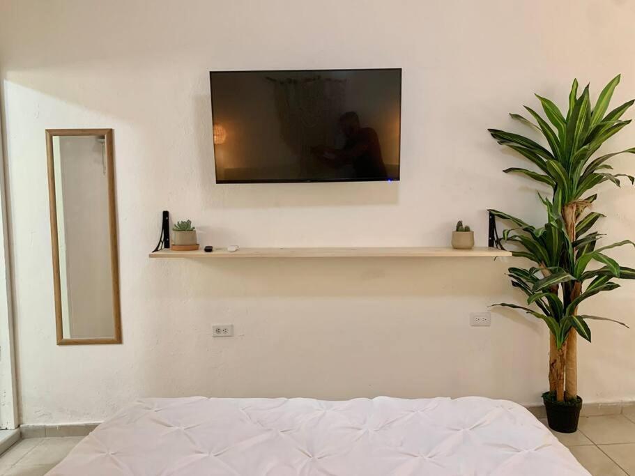 Appartamento Casa Anuiti Centrica Ubicacion. San José del Cabo Esterno foto